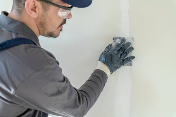 Best Drywall Sanding and Smoothing  in Holden, MO